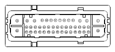 G13435393