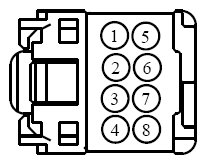 G13435424