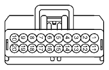 G13435429