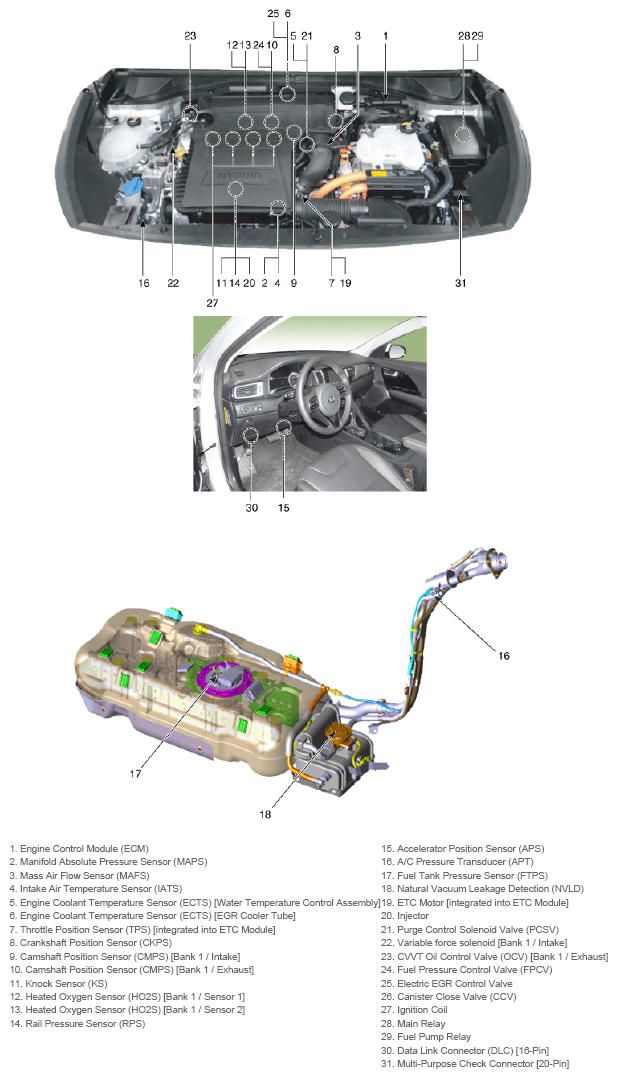 G13436522