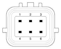 G13437752