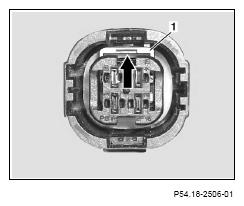 G13439901