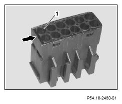 G13439994