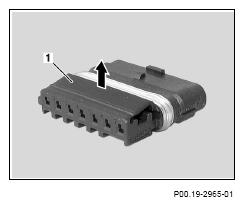 G13440036