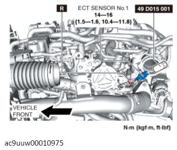 G13445202