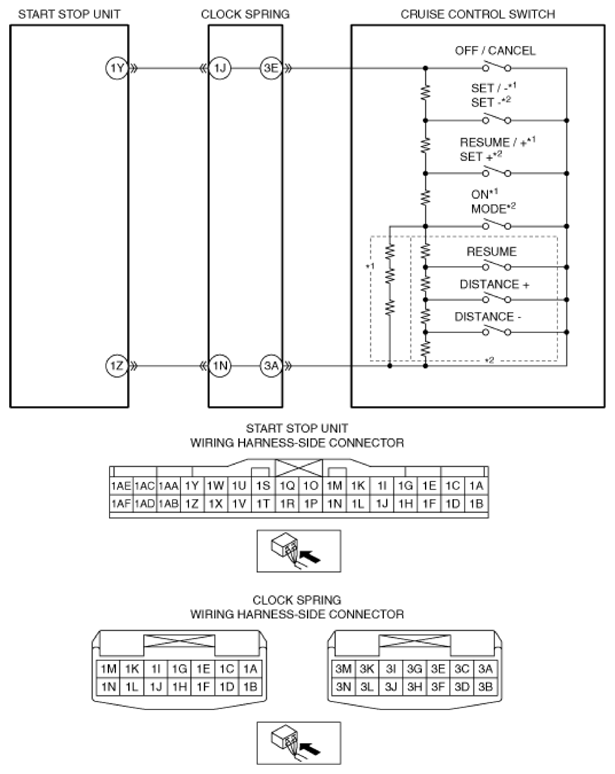G13447339