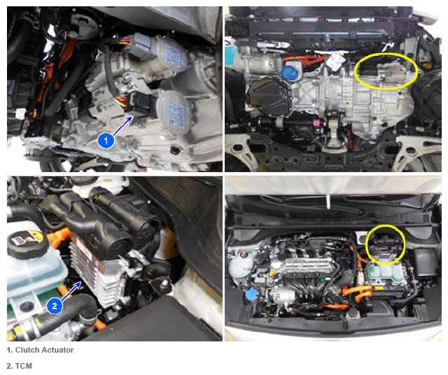 G13460378