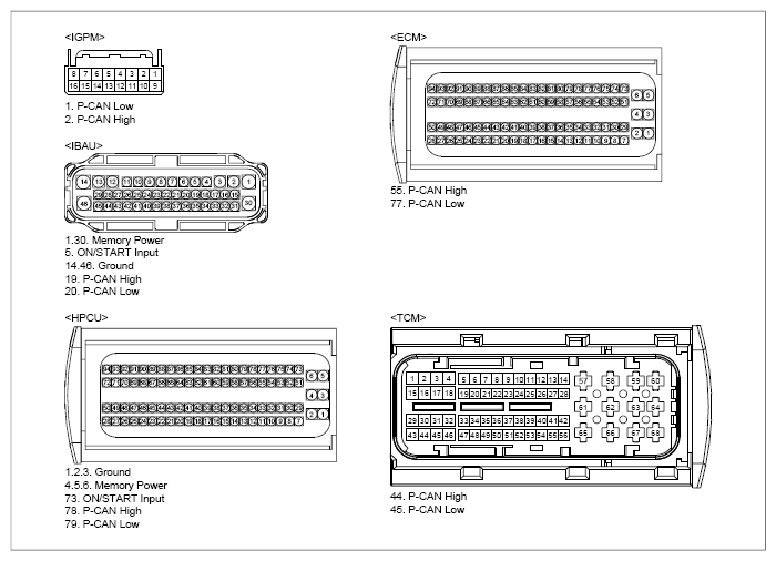 G13460731