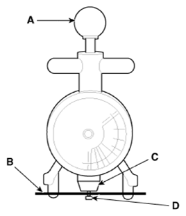 G13480242