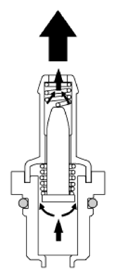 G13480509