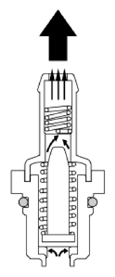 G13480511