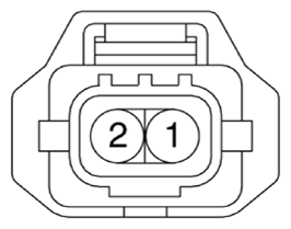 G13480629