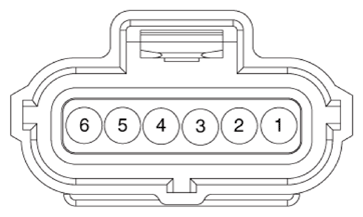 G13480656