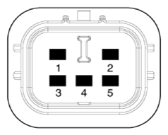 G13480886