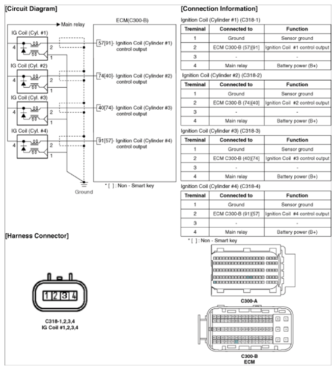 G13482839