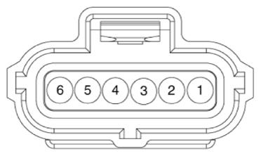 G13483055