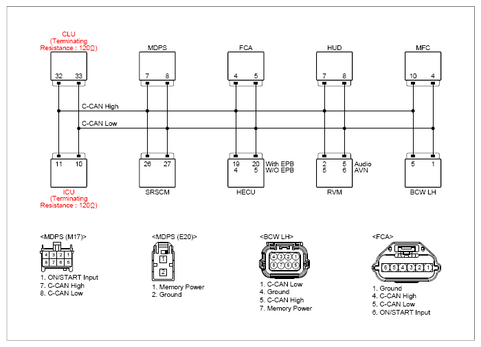 G13484646