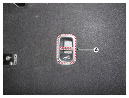 G13486481