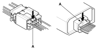 G13486533