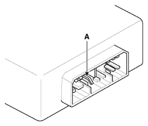 G13486536