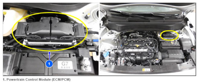 G13507066