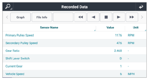 G13507333