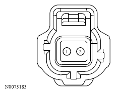G13533125