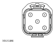 G13533184