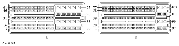 G13533243
