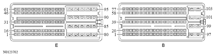 G13533245