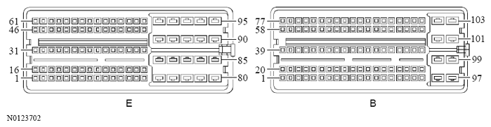 G13533261