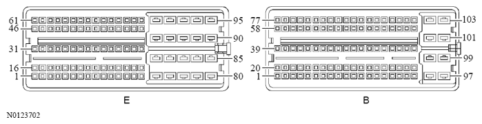 G13533266