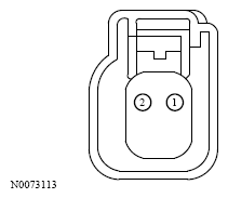 G13533275