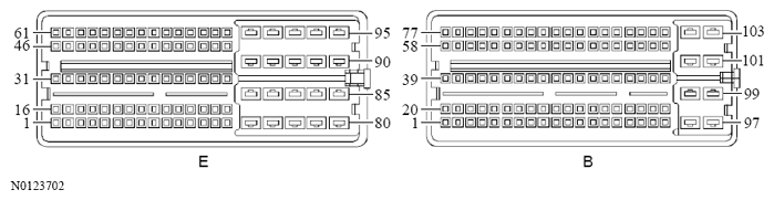 G13533284