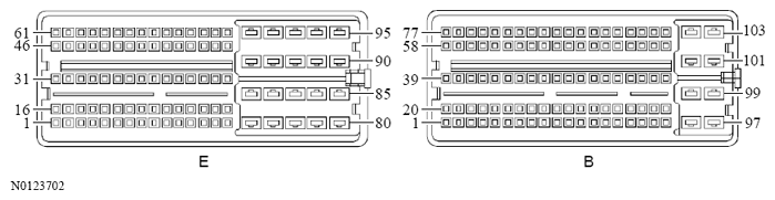 G13533307