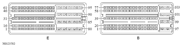 G13533321