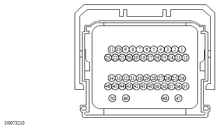 G13533595
