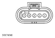 G13533637