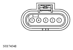 G13533638