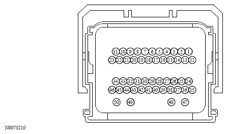 G13533640