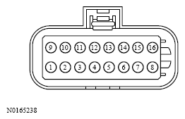 G13533645