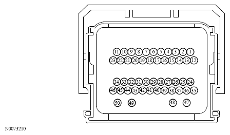 G13533655