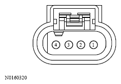 G13533656