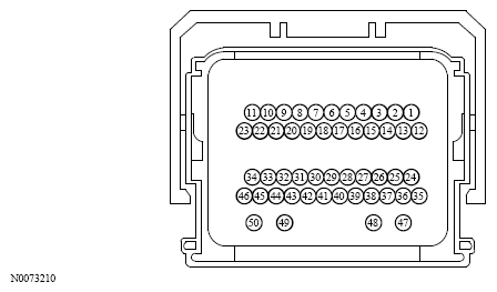 G13533661