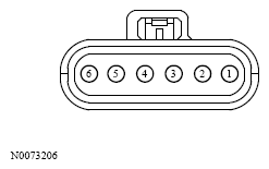 G13533686