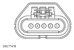 G13533690
