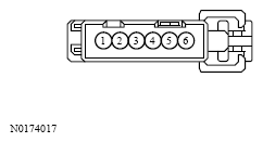 G13533725