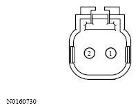 G13533752