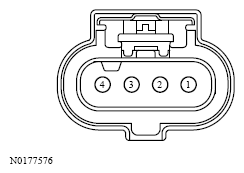 G13533753