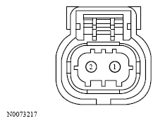 G13533761